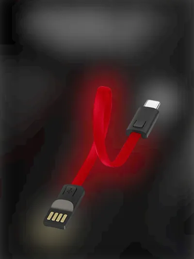 Fast charging cable keychain