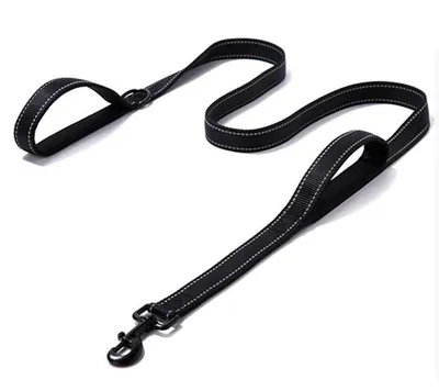 Pet Double Handle Pull Leash