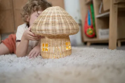 Handmade Rattan Woven Mushroom House Ornaments