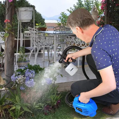 800ML Paint Spray Painter For Spring 650W Paint Sprayer Machine 800ML Per Min Output