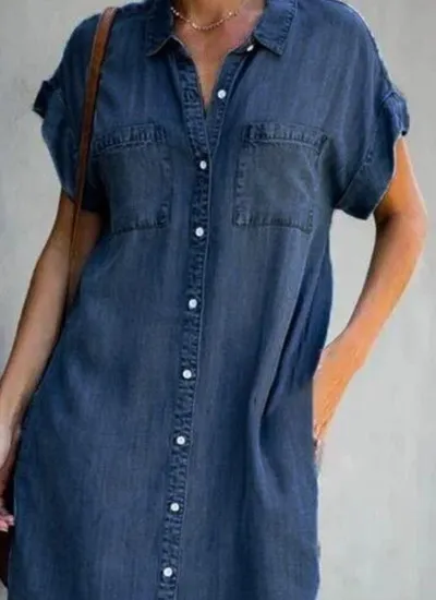 Blue Collar Short Sleeve Slim Dress