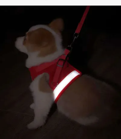 Pet Leash Breathable Mesh Chest Back