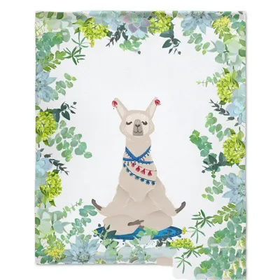 Baby Photo Backdrop Blanket