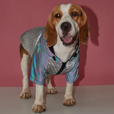 Dog Poker Jacket Reflective Raincoat Pet Cotton