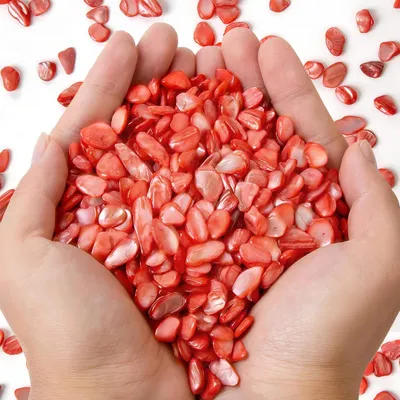 Small Natural Crushed Shells For Crafts About 2LB 900g 31.74oz DIY Beaching Wedding Decoration Vase Fillers
