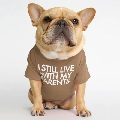 Fadou Turtleneck Round Neck T-shirt Pet Clothes