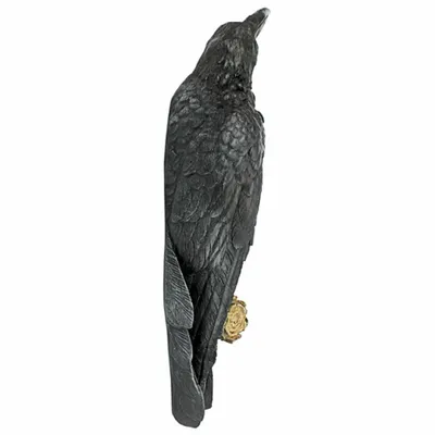 Black Crow Resin Sculpture Craft Wall Hanging