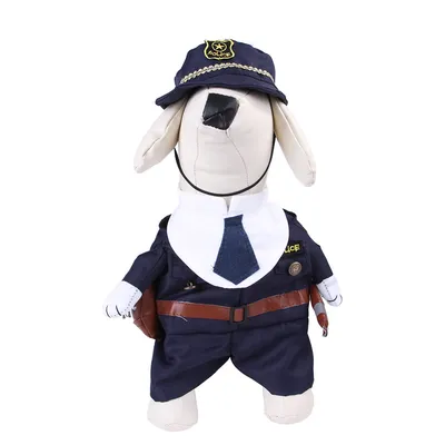 Cartoon Pet Cowboy Horseback Riding Costume Pet Supplies