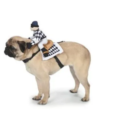 Cartoon Pet Cowboy Horseback Riding Costume Pet Supplies