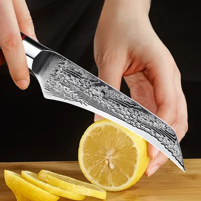 Japanese Damascus Steel Kitchen Knife Household Kitchen Fruit Knife