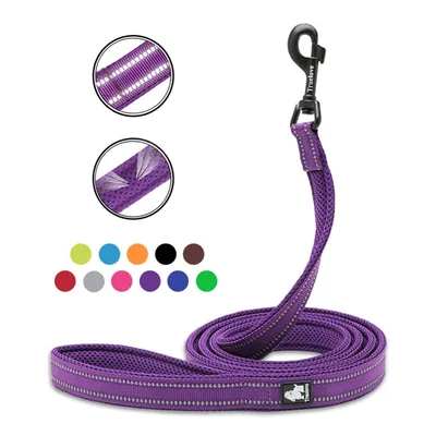 Truelove Pet Adjustable Safety Reflective Nylon Harness for Big Medium Large Dogs