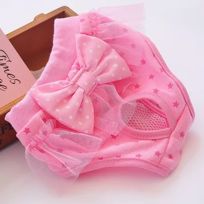 Female Dog Aunt Physiological Pants Panties