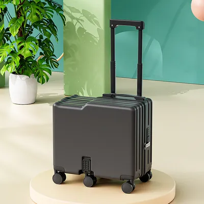 New Children's Boarding Luggage, Suitable For Sitting And Riding, Small Bicycle Suitcases For Boys And Girls, As Well As Walking Children's Luggage With Travel Codes