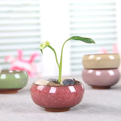 Desktop Succulent Ceramic Craft Flower Pot Ornaments