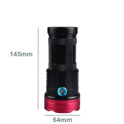 10 lamp beads strong light flashlight