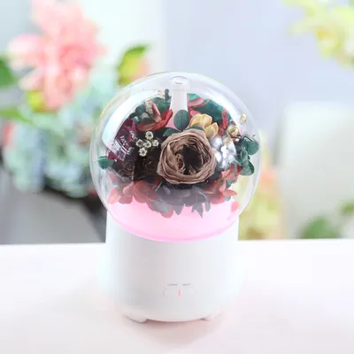 جهاز ترطيب وعلاج عطري بزهرة دائمة