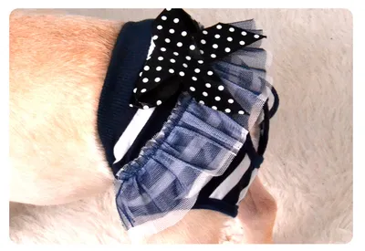 Female Dog Aunt Physiological Pants Panties