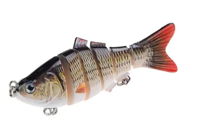Bait fish