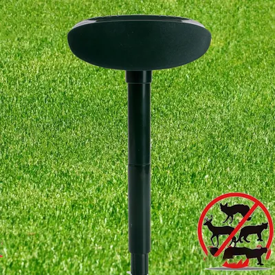 Outdoor animal remover