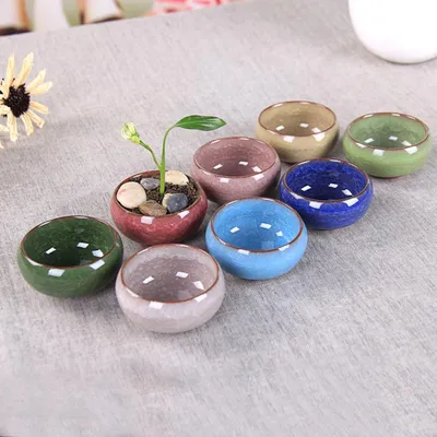 Desktop Succulent Ceramic Craft Flower Pot Ornaments