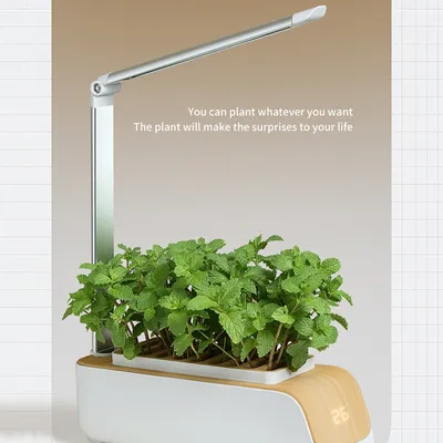 Hydroponic Container Flower Pot Garden Patio ABS It Is Not Easy To Deform Ventilation Storage Container Vegetable Spring
