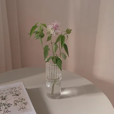 Retro Simple Niche Creative Glass Vase Ornament