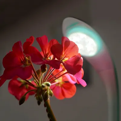 مصباح زراعة بتقنية بلوتوث E light