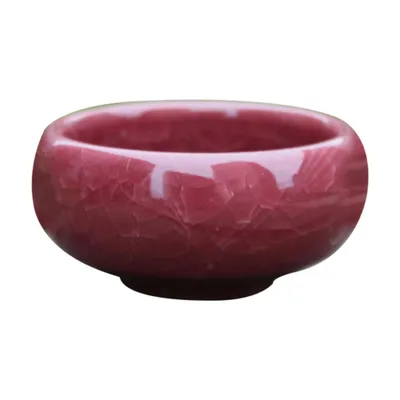 Desktop Succulent Ceramic Craft Flower Pot Ornaments