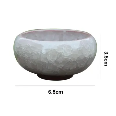 Desktop Succulent Ceramic Craft Flower Pot Ornaments