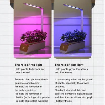 Hydroponic Container Flower Pot Garden Patio ABS It Is Not Easy To Deform Ventilation Storage Container Vegetable Spring