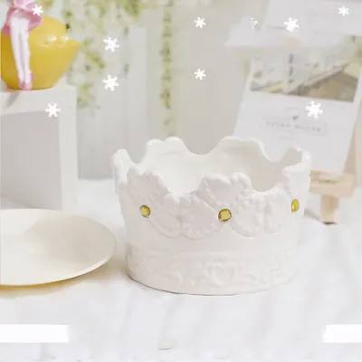 Modern All-match Potted Ceramic Succulent Plant Pot