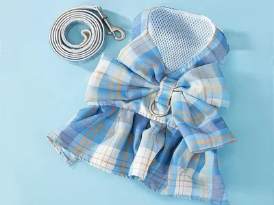 Dog Skirt Hand Holding Rope Small And Medium Pet Supplies