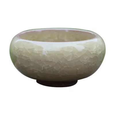 Desktop Succulent Ceramic Craft Flower Pot Ornaments
