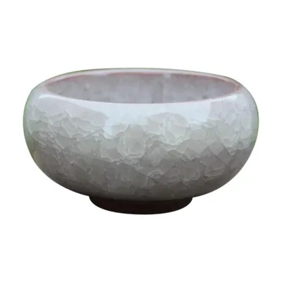 Desktop Succulent Ceramic Craft Flower Pot Ornaments