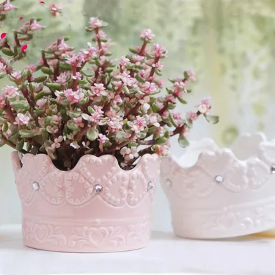Modern All-match Potted Ceramic Succulent Plant Pot