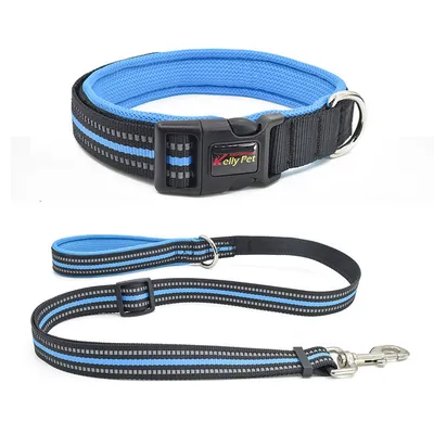 Breathable Mesh Nylon Dog Collar