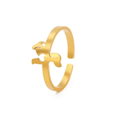 Women's Stainless Steel Versatile Ring