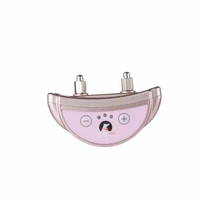 Electric shock collar