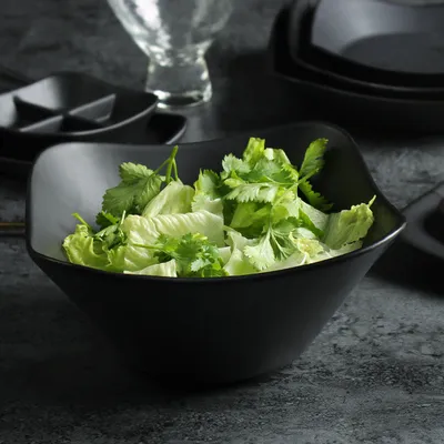 Ceramic Matte Square Steak Plate