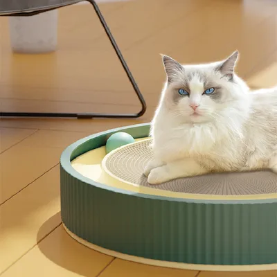 Wear-Resistant Non-Chip Corrugated Paper Pet Toy - Eco-Friendly Chew Toy For Cats And Small Dogs Pet Products