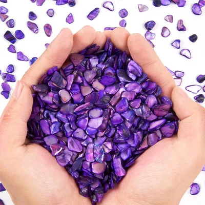 Small Natural Crushed Shells For Crafts About 2LB 900g 31.74oz DIY Beaching Wedding Decoration Vase Fillers