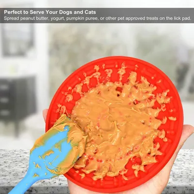 Dog licking pad
