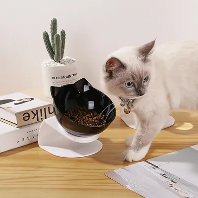 New Inclined Food Cat Ear Oblique Mouth Transparent Single Pet Bowl