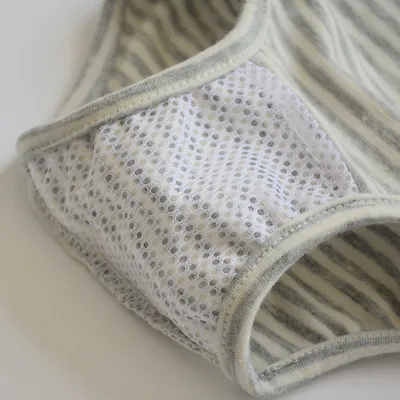 Female Dog Aunt Physiological Pants Panties