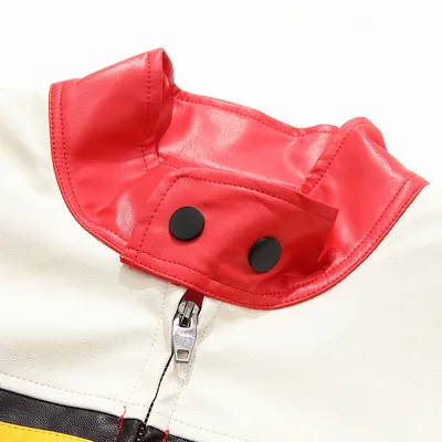 Men's Colorblock Stitching Zipper Stand Collar Leather Jacket