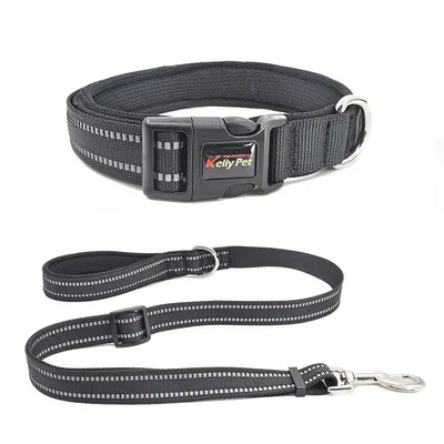 Breathable Mesh Nylon Dog Collar