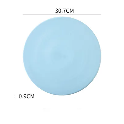 Home Simple Matte Round Sushi Plate