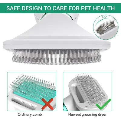 Pet Comb Hair Dryer