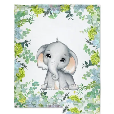 Baby Photo Backdrop Blanket