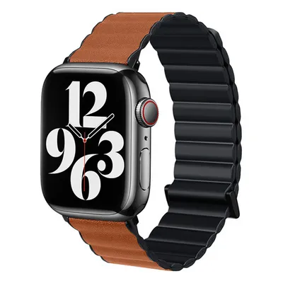 Magnetic Absorption Two-color Watch Band